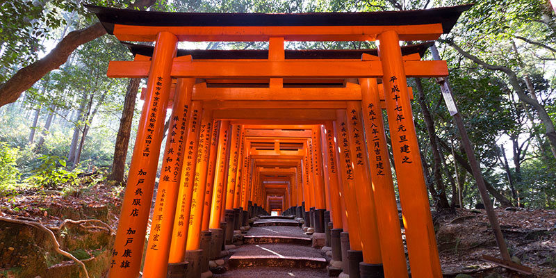Torii corridor at the Fushimi Inari Taisha shrine in Kyoto, Japan.